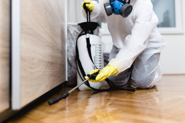 Best Bed Bug Extermination  in Decatur, GA