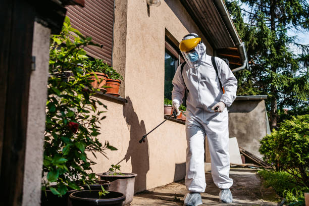 Wasp Removal Services in Decatur, GA