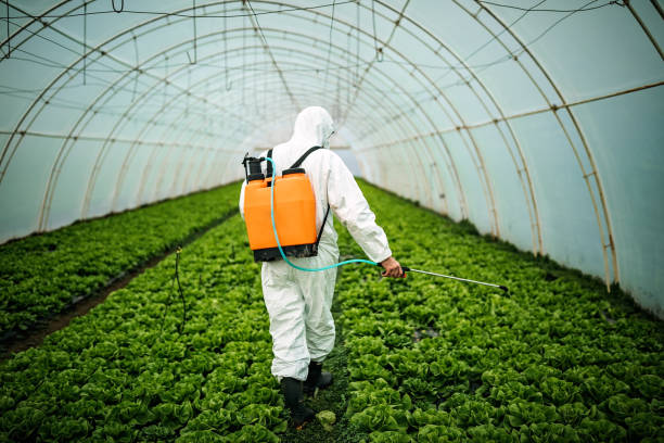Best Best Pest Control Companies  in Decatur, GA