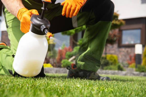Best Bed Bug Extermination  in Decatur, GA