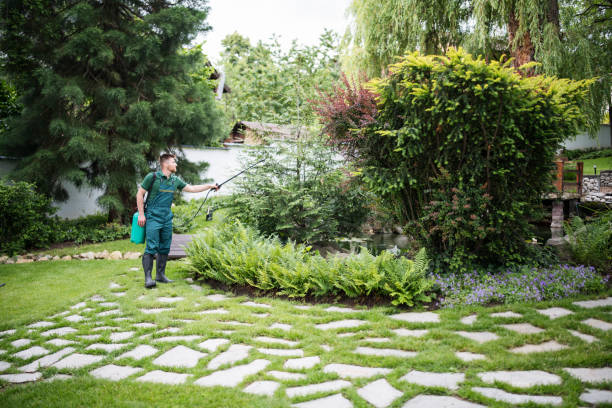 Best Mosquito Control Services  in Decatur, GA