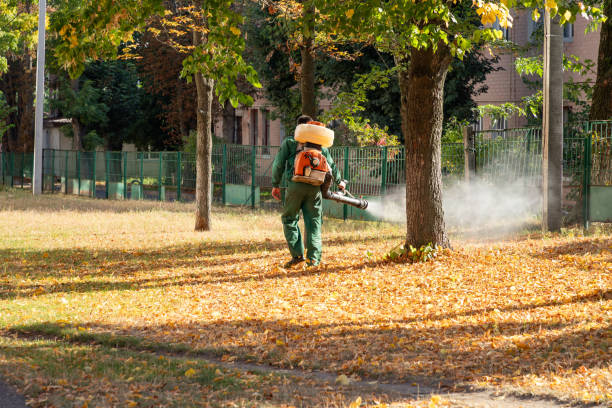 Best Termite Control Services  in Decatur, GA