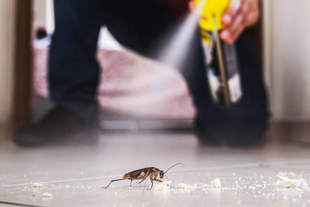 Best Pest Control Near Me in Decatur, GA